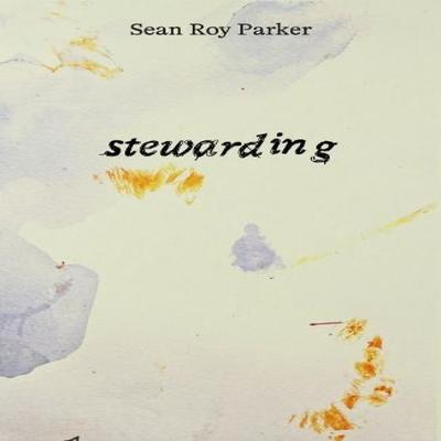 Stewarding by Sean Roy Parker Paperback Book 9781739542436