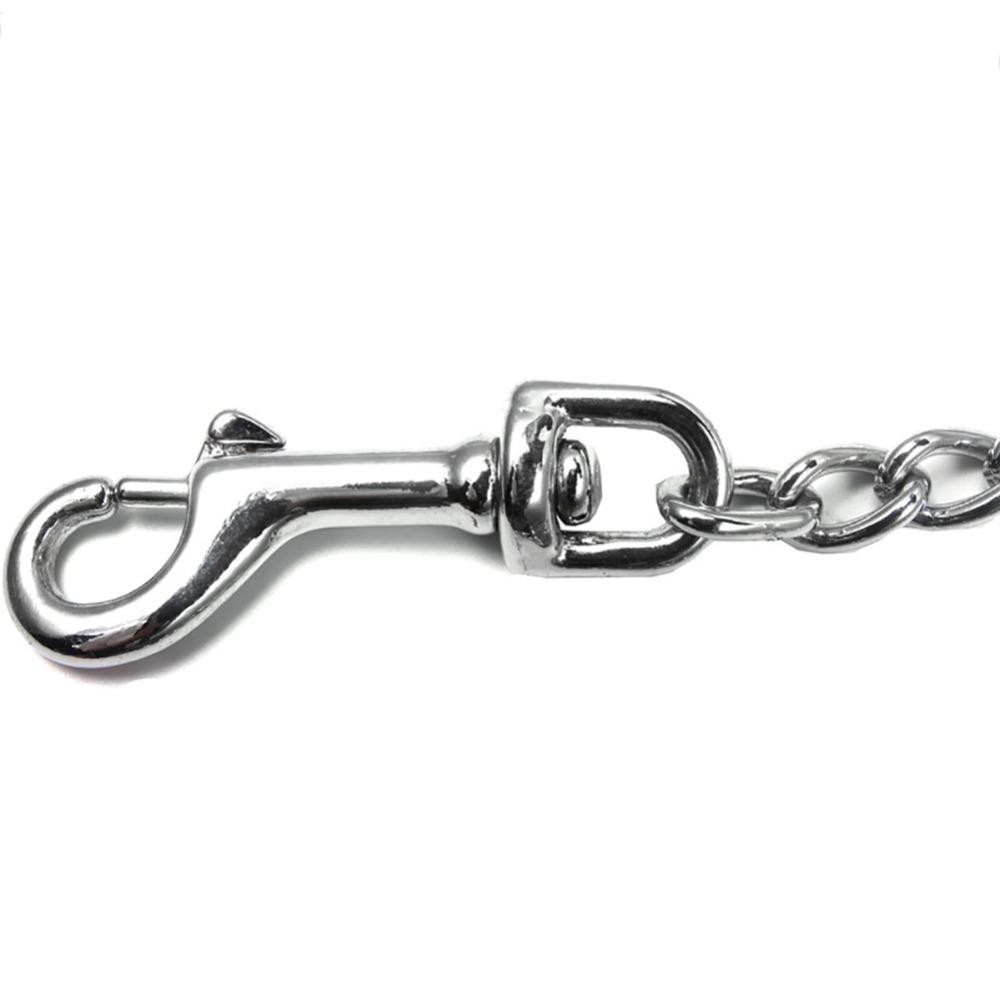 Metal Clasp Dual Dog Coupler Multi Sizes Option Metal Dog Chain Pet Traction Rope Pet Park Visit