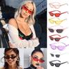 Elegant Women Cat Eye Design Sunglasses With Retro Small Eyeglass And Uv Protection