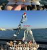 Medelhavssnäckskal Segelbåtsmodell Prydnad - Smooth Sailing Hantverkspresent Souvenir