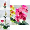 Synthetic Butterfly Orchid Bonsai With Pvc Material For Living Room And Office Decoration