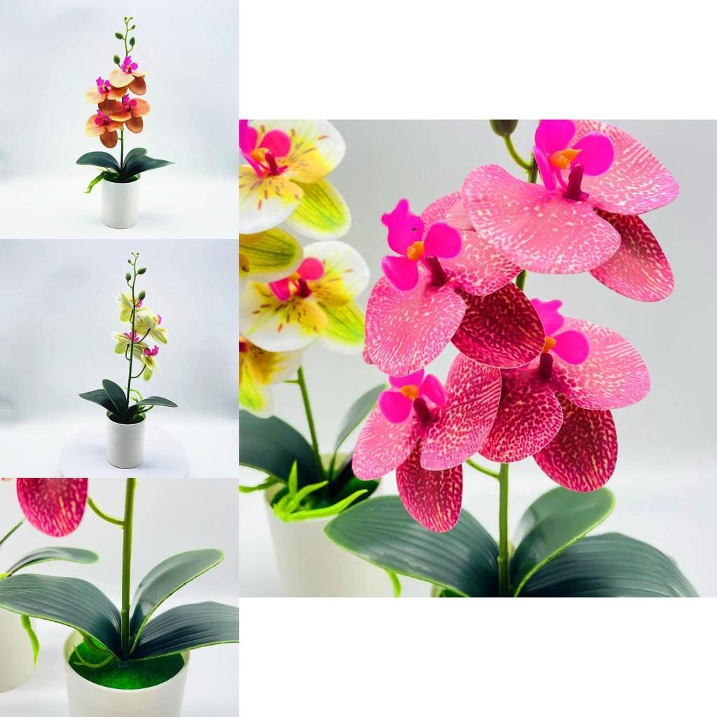 Synthetic Butterfly Orchid Bonsai With Pvc Material For Living Room And Office Decoration