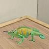 Statue Lizard Action Figures PVC Reptile Amphibious Figurines  Children Gifts
