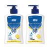 Lanjuan Hypoallergenic Antibacterial Hand Soap (2x450ml Pump Set)