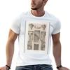 Lithograph  of The Mosque of Ibn Tulun TShirt Unisex T Shirt Graphic Cotton T Shirt Unisex Cotton T Shirt Pack Tshirt