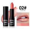 12 Colors Glitter Lipstick Waterproof Long Lasting Diamond Pearlescent Metallic Lipstick Black Lipgloss Women Lips Makeup Cosmetic