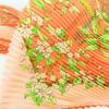 Used HERMES scarf Pleated curry silk Orange SERENITE