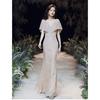Champagne Banquet Evening Dress Sequins 1011 New Summer Temperament Long Fishtail Dress Annual Meeting Hosting Dress