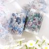 6 Rolls/box, Elegant Floral Pattern PET Stickers, Suitable for DIY Photo Frames, Manuals, and Gift Box Decoration, Stylish Beaut
