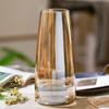 Transparent Flower Vase Nordic Style Hydroponic Vase Modern Floral Vase  Table Decoration