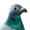 Bird Stuffed Animal Realistic Pigeon Plush Toy Doll Unique Soft Room Decoration Boys Girl Toys for