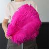 1 pz Piuma di Struzzo Elegante Bianca Soffice per Festa di Matrimonio Stanza di Casa Decorazioni Fai da Te 45-50 cm