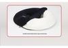 Ergonomic Hemorrhoid & Pregnancy Seat Cushion for Tailbone and Buttocks Relief – All-Season Comfort