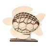 Sea Turtle Seaglass Display Box Wooden Tortoise Shell Holder Storage