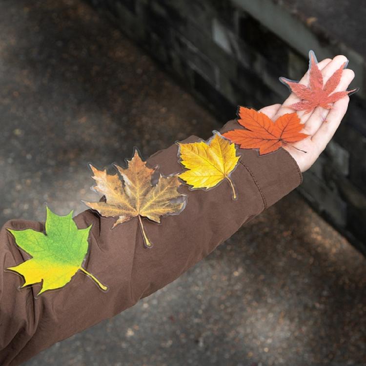 Leaf Inspired Sticker Waterproof Adhesive PET Sticker for Journal Notebook Phone Scrapbooking Decoration Supplies