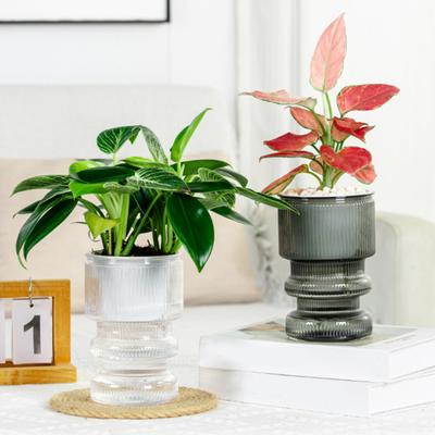 Pot de fleurs à arrosage automatique avec bouteille transparente et indicateur de niveau d'eau pour plantes d'intérieur Jardinière auto-absorbante avec ventilation à double couche pour