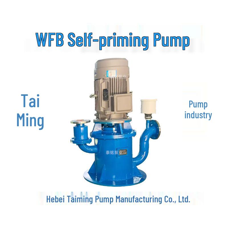 WFB Corrosion-Resistant Vertical Sealless Self-Priming Control Pump for Large Suction Lift and Sewage Discharge