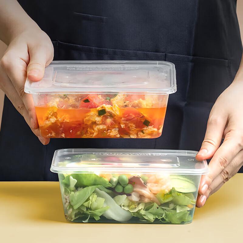 Disposable Takeout Food Containers with Lids