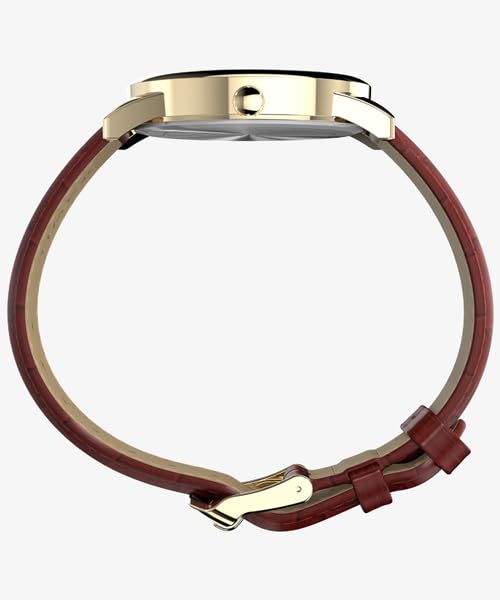 TIMEX Easy Reader Watch Brown TX-TW2W95500