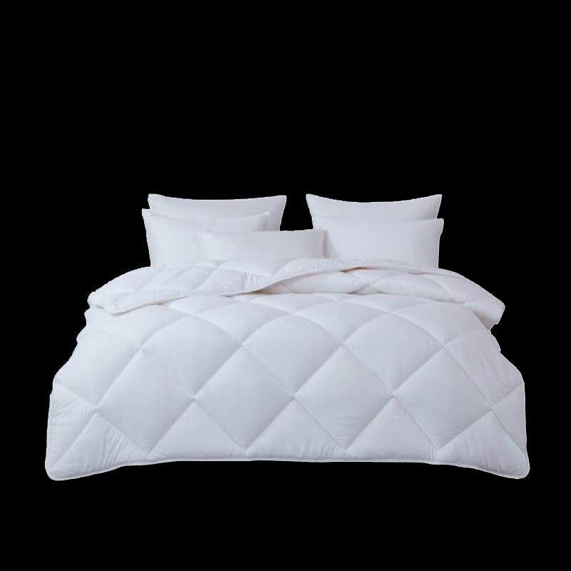 

Mengjie Down Alternative Duvet Insert