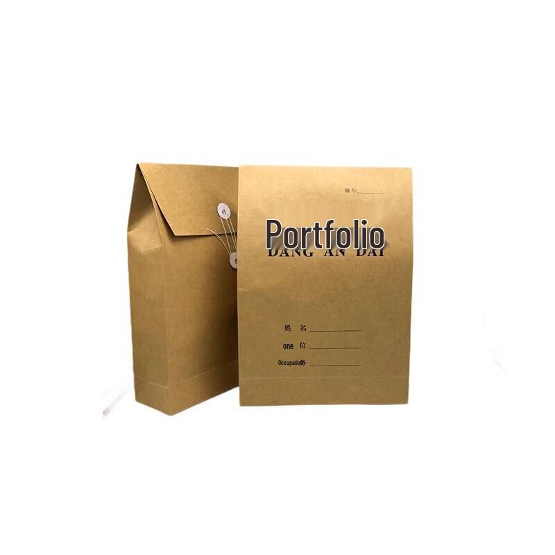 Kraft Paper A4 Document Storage Bags