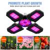 Led Grow Light Plant Seed E27 Full Spectrum Hydroponic Lampara Panel Bombilla Grow Tent Bulb AC85-265V 200W 300W 400W