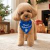7 Pet Scarf and Bib Set, 2-Piece Adjustable Pet Neck Accessories for Daily Wear