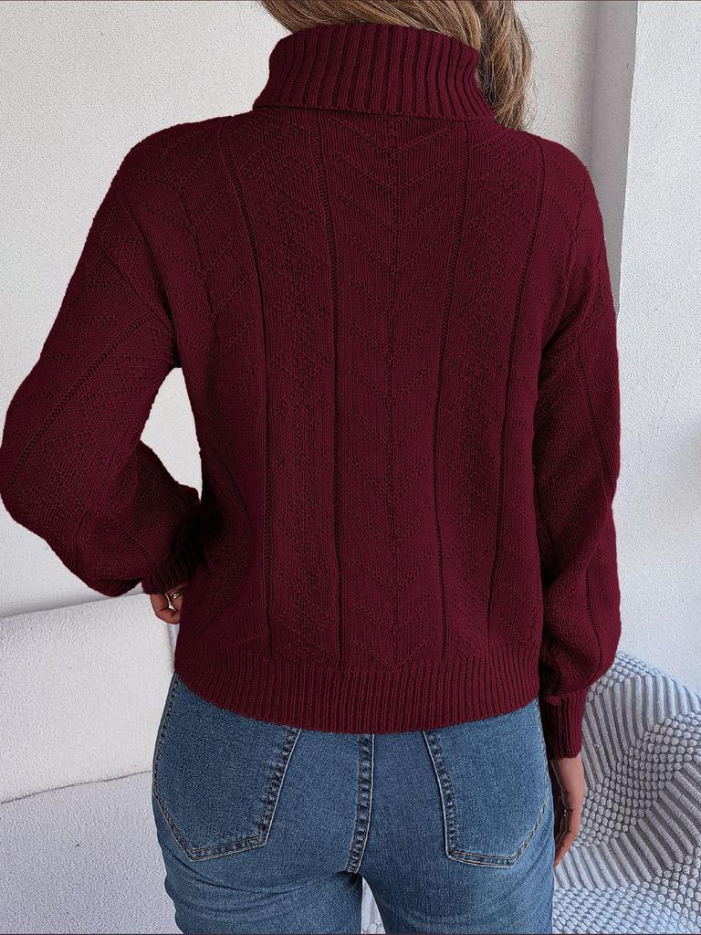 Women's 2023 Autumn/Winter Casual High Neck Cable Knit Long Sleeve Pullover Sweater