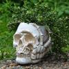 A84E-Home Decoration Skull Flower Pot, Indoor Small Flower Pot, Indoor Plant Mini Flower Pot, Garden Succulent Plant Pot