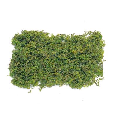 Daichi Farm Natural Materials Bergmoos-Säckchen, Grün (50 g) DO61170-700