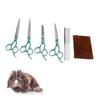 Conjunto de Tesouras para Tosquia de Animais de Estimação 7 Polegadas Tesouras Divididas com Pintura Colorida Conjunto de Tesouras para Aparar Pelo