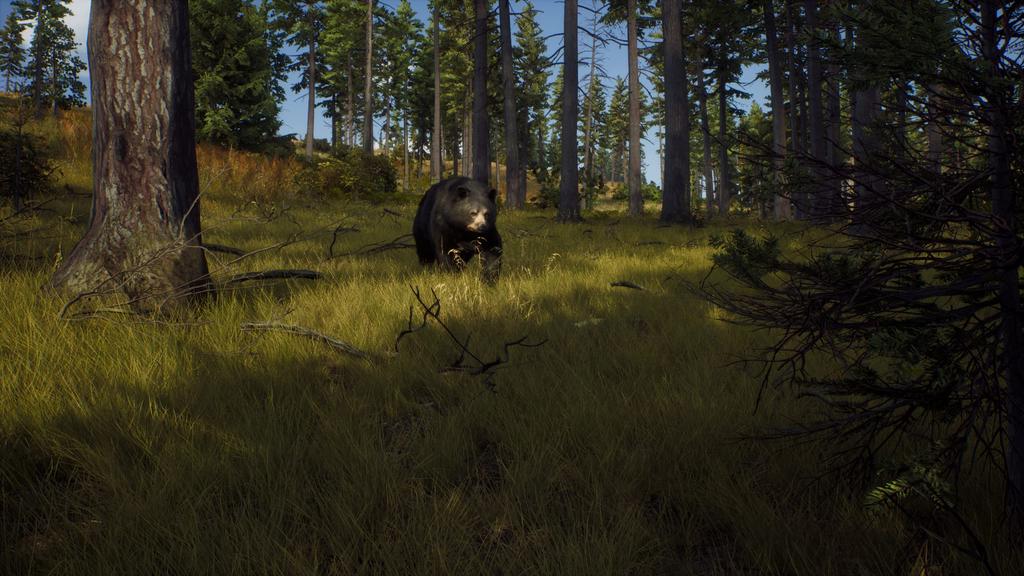 Way of the Hunter North PS5 (Import America) -