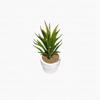 12-Piece Mini Cactus Assortment Set, Faux Greenery, Perfect for Home Decor, Desks, Kitchen Counters, and Store Decor. Perfect for Everlasting Plants.