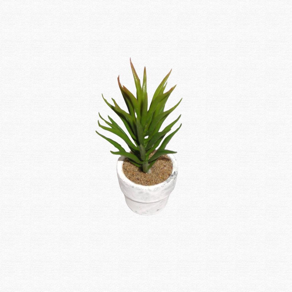 12-Piece Mini Cactus Assortment Set, Faux Greenery, Perfect for Home Decor, Desks, Kitchen Counters, and Store Decor. Perfect for Everlasting Plants.