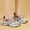 Fashion Retro Spring Autumn New Women Thick Soled Dad Shoes 2025 New Height Increasing Anti Slip Sports Leisure Shoes Sneakers Platform