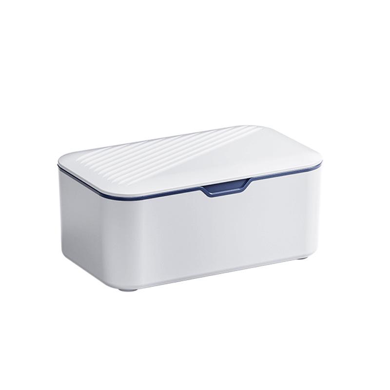 Lidded Dustproof Storage Box for Tissues, Wipes, Gloves & Masks - Large Capacity