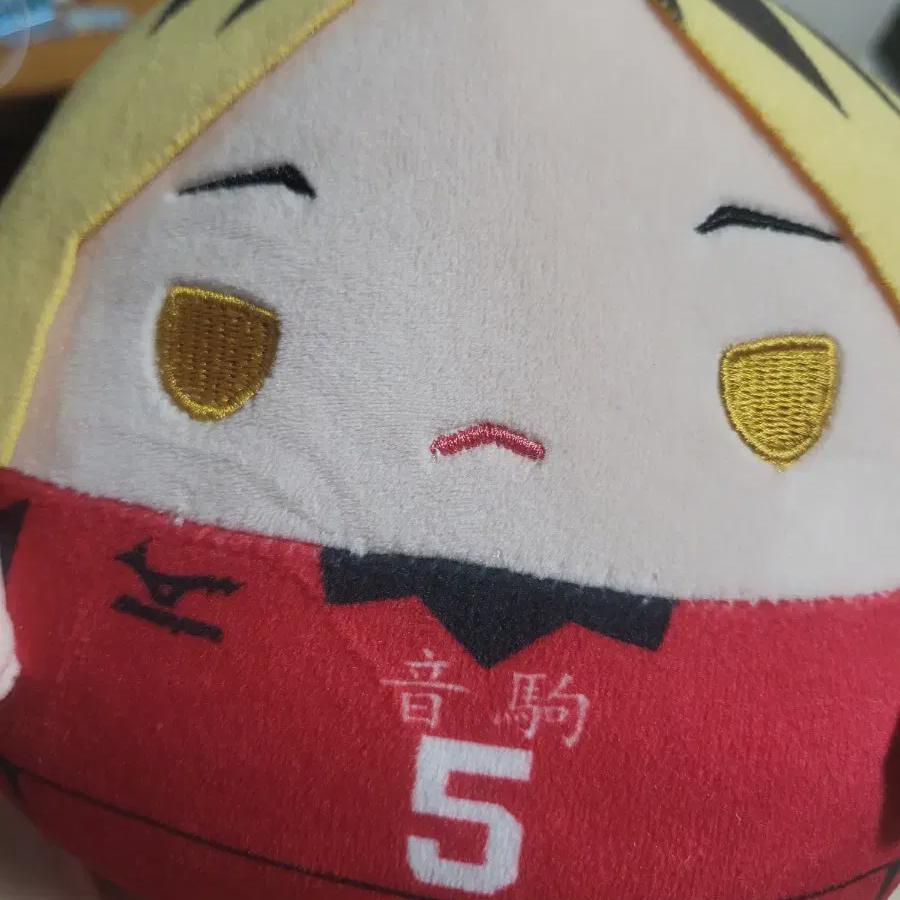 

Kenma M Who And Sales