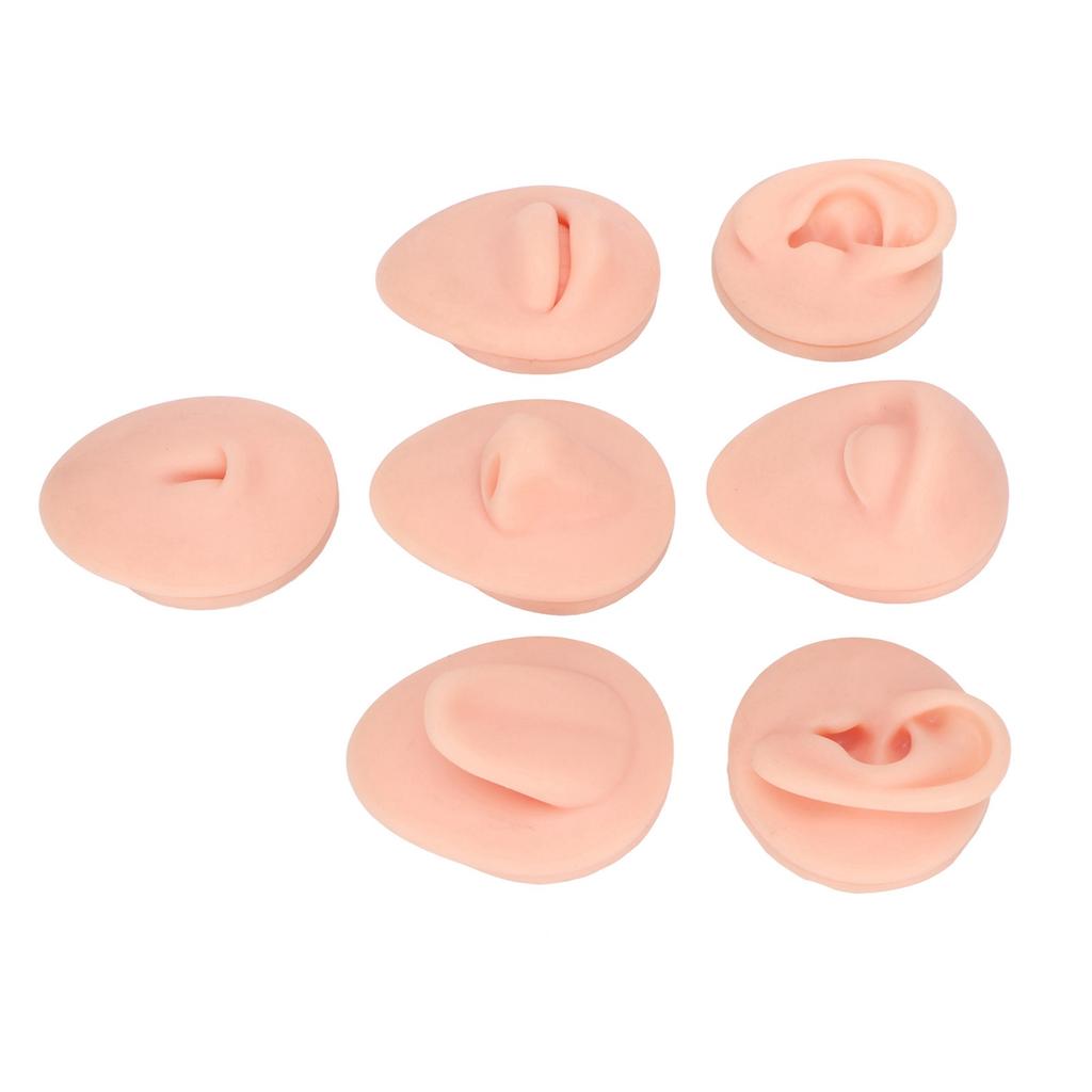 Silicone Body Part Model Soft Silicone Ear Mouth Nose Eye Tongue Navel Model with Display Rack for Teaching Display