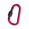 Aluminum Alloy Carabiner D-Ring Shape Key Chain Clip Hook Camping Outdoor Buckle