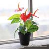 Artificial Red Anthurium Flower Bunch for Wedding Decor and Wall Ornaments