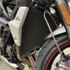 Radiator Guard for Triumph Street Triple 660S/765 R/RS (2020-2022)