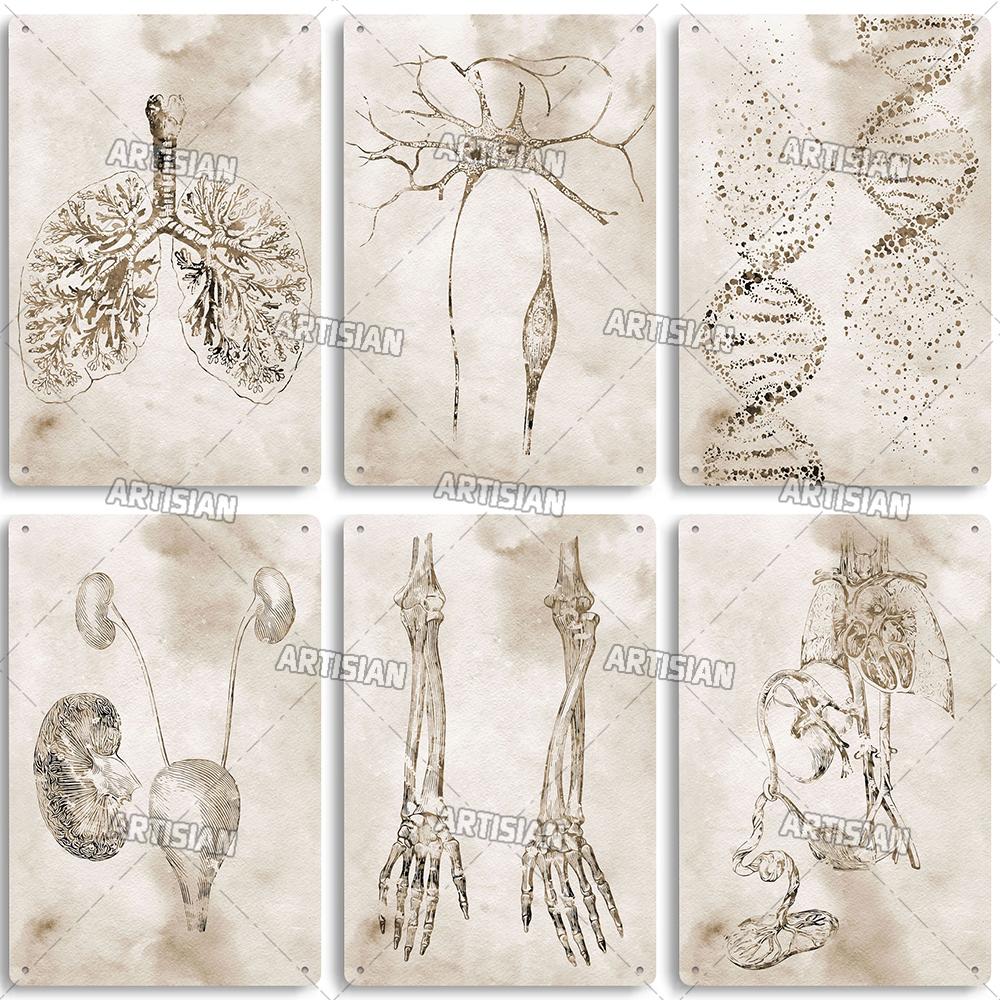 Placca Metallica Artigianale Clinica Dentista Cartello in Latta Anatomia Piatto Decorativo Medico Ospedale Chirurgia Dente Organo Ossa Nervo Cervello