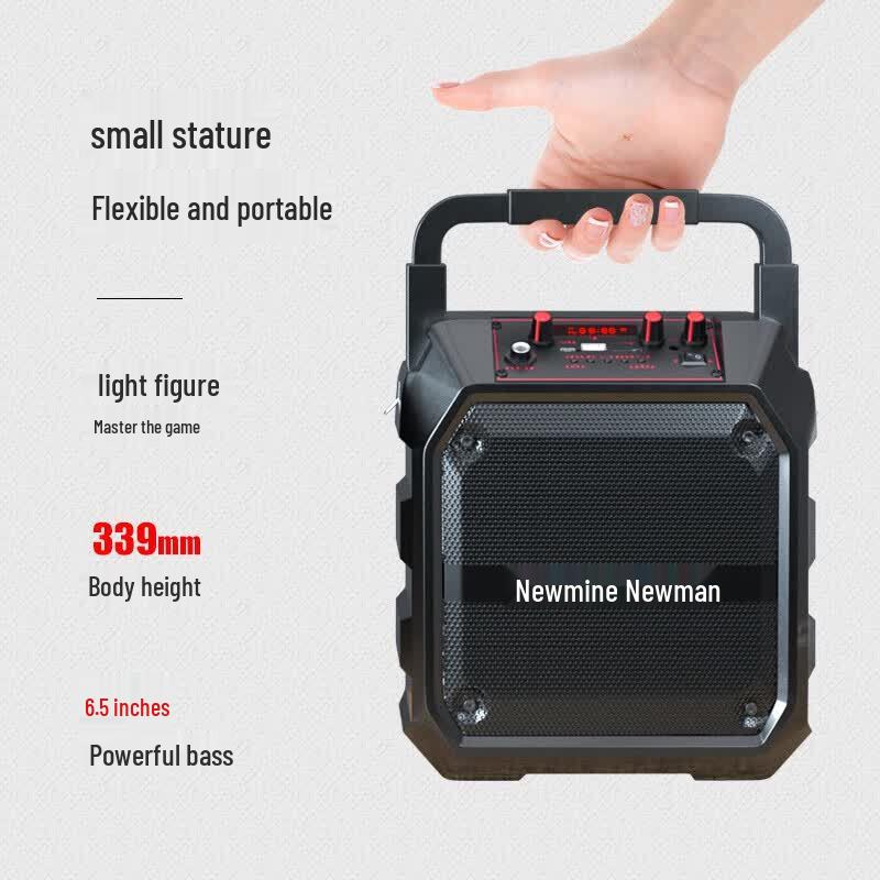 Newmine K97 Portable Bluetooth Speaker with Radio (CN version)