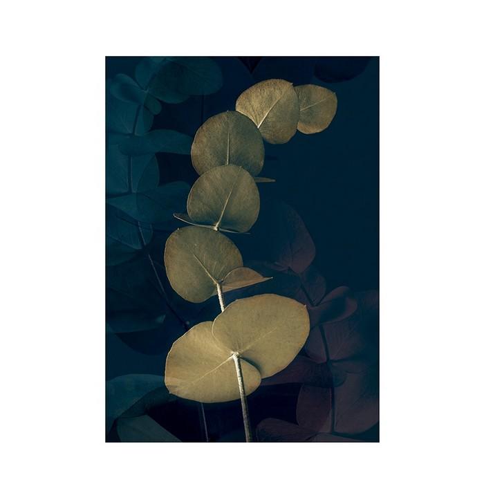 Ian Winstanley Temné tropy I Tisk