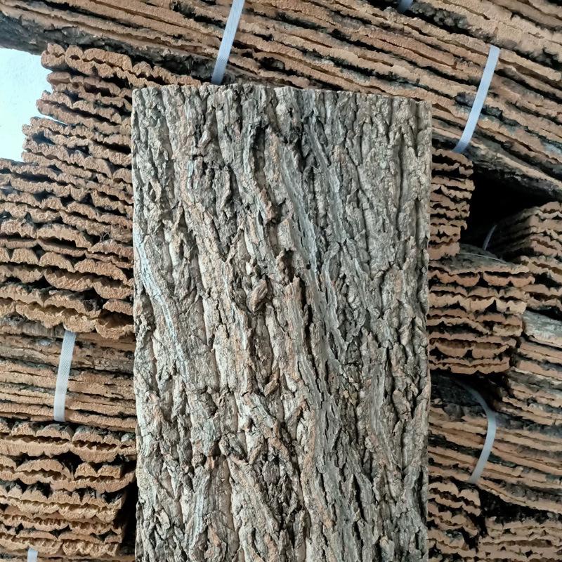 Natural Champagne Cork Bark Decoration Panel for Reptile Hiding & Aquascaping