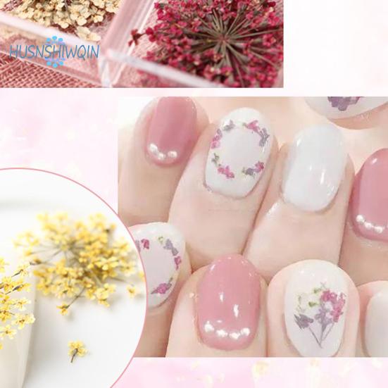 1 boks 10g tørket blomst negldekorasjon 12 farger Naturlig blomsterblandet tørrblomst DIY smykker Charms Manikyr dekor UV Gel Polish Nail Art Supplies
