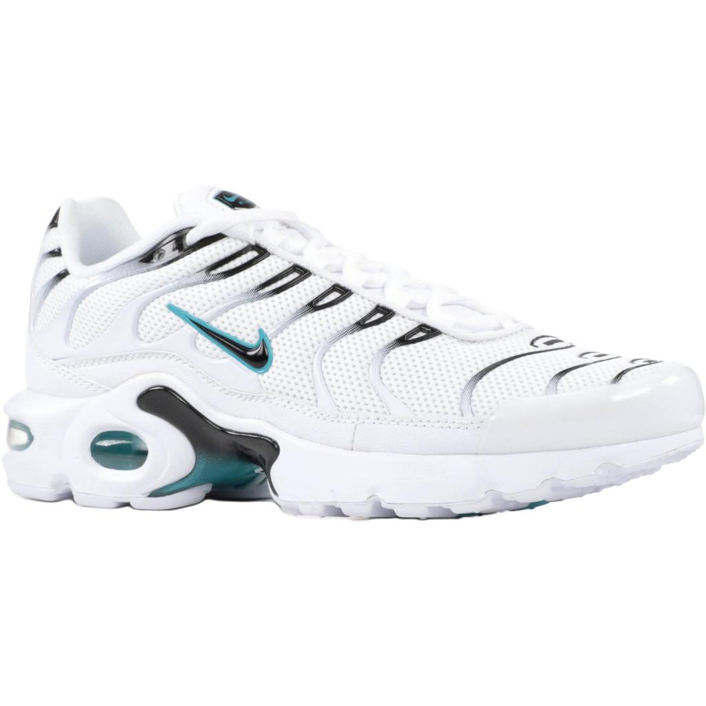 Nike Air Max Plus Bg 'Dusty Cactus' AO9340-100