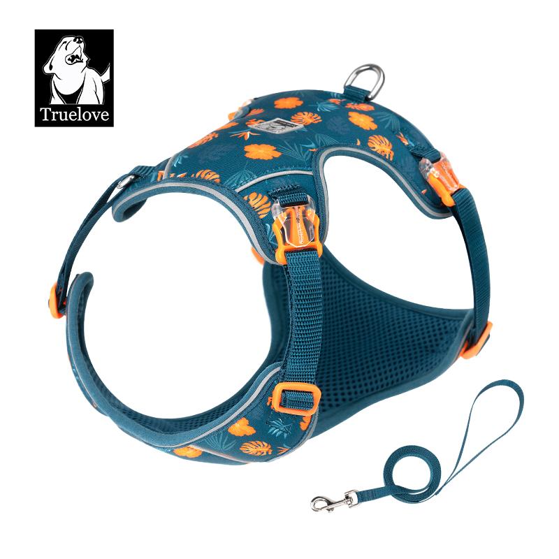 Truelove Hundegeschirr und Leine Set Ultraleicht Atmungsaktiv Hohe Qualität Nylon-Netz Reflektierend Nacht-Training Hund TLH2918