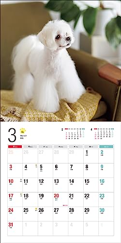 2024 Calendar Maltese (Seibundo Shinkosha Calendar)