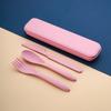 Set di posate portatile 3 in 1 Riutilizzabile Set di utensili per casa e viaggio Forchetta Cucchiaio Coltello con Scatola Set di stoviglie Tavola da picnic e campeggio